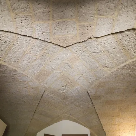 Tarantola *