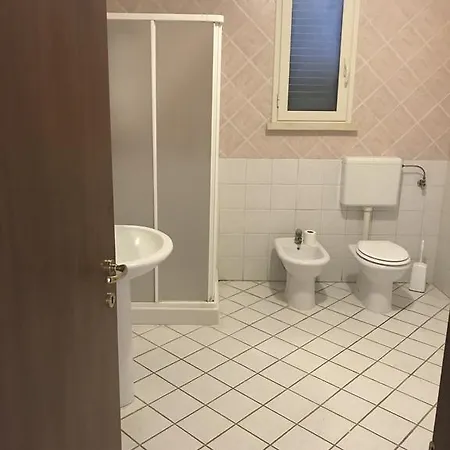 Tarantola *